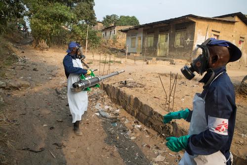  "الحمى الصفراء".. وباء جديد يغزو كينيا متسببا في وفيات 