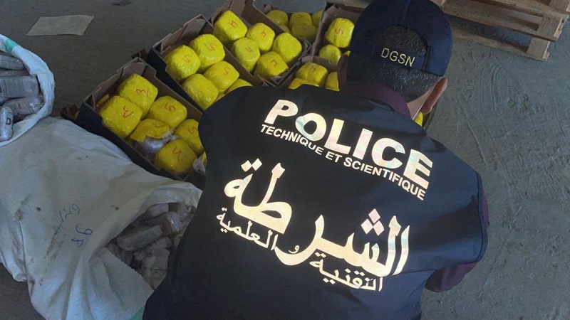 طنجة.. إجهاض عملية كبرى للتهريب الدولي للمخدرات وحجز شحنة قياسية تناهز 31 طنا و197 كيلوغرام من مخدر الحشيش