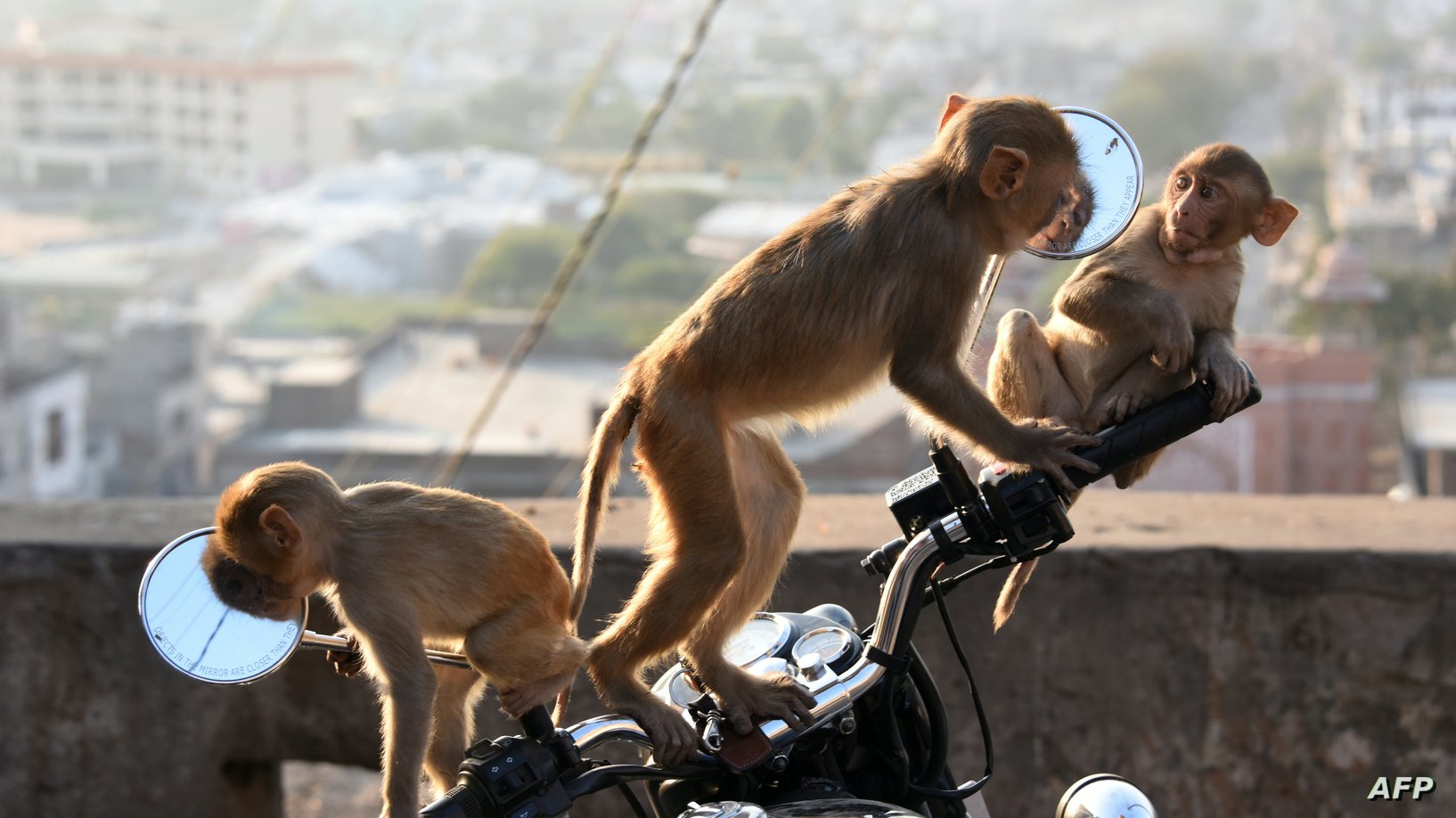  تسجيل إصابتين جديدتين بجدري القرود في بريطانيا 