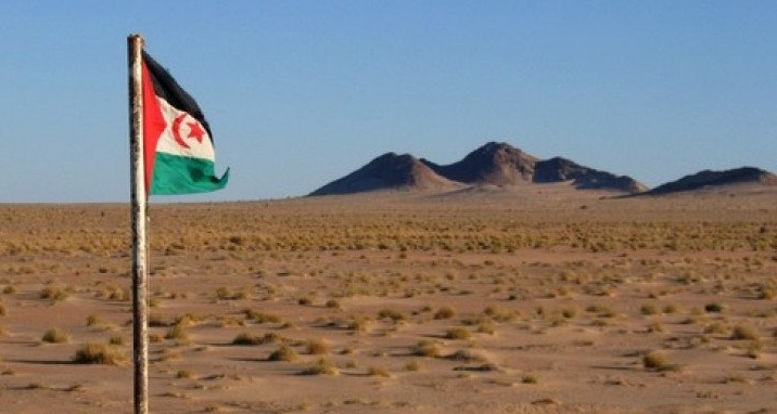 لعرقلة أنبوب الغاز النيجيري المغربي.. "البوليساريو" تلوح بورقة "الحرب" في وجه الشركة الأسترالية المكلفة بدراسة المشروع