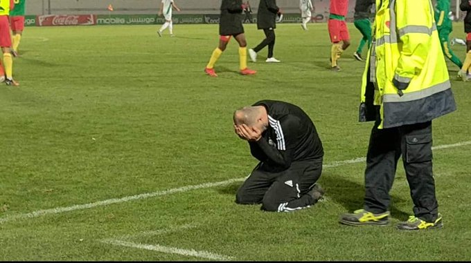 رسميا.. الـ FIFA يقرر عدم إعادة مباراة الجزائر والكاميرون ومصر والسنغال