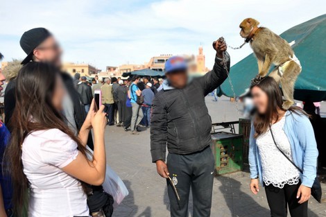 الاشتباه في 3 إصابات بجدري القردة بالمغرب