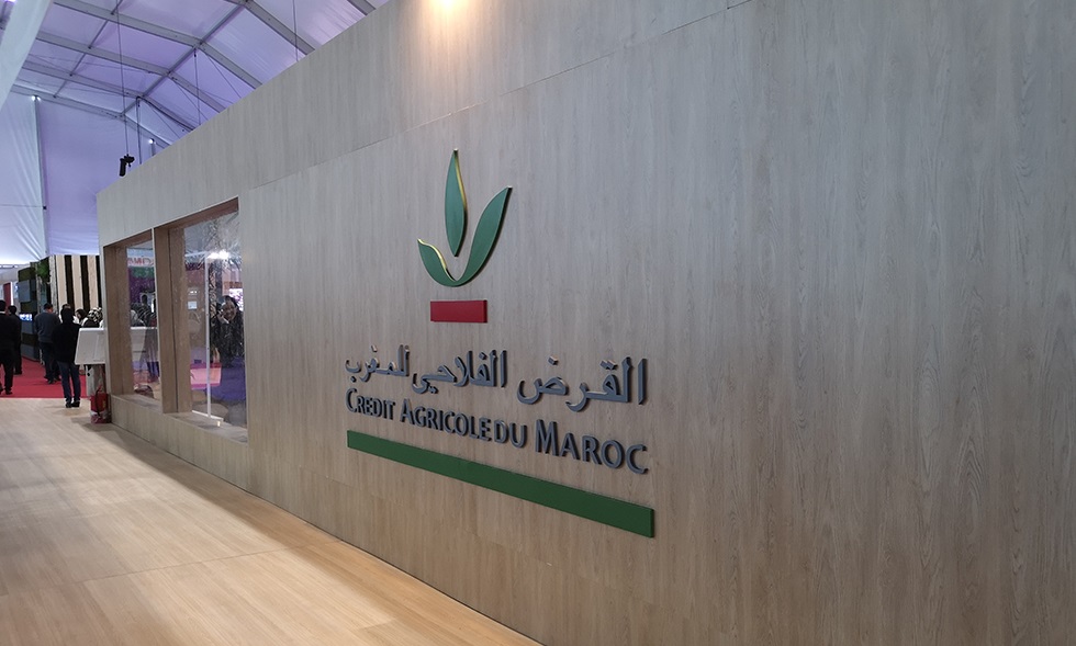 ارتفاع النتيجة الصافية لحصة القرض الفلاحي بـ 7.4 في المئة خلال الربع الأول من 2022