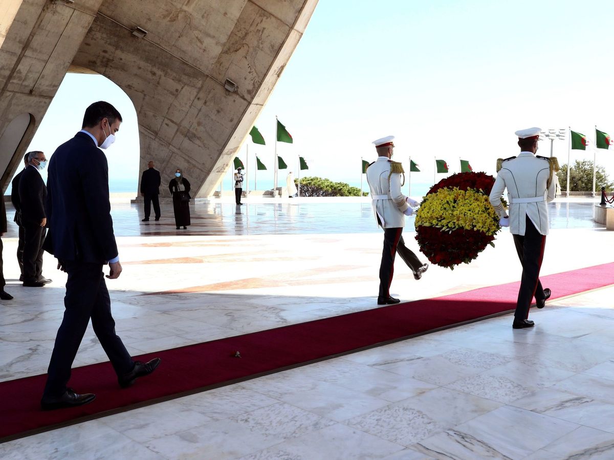  أثناء قمّة "الناتو".. إسبانيا ستعمل على إقناع قادة حلف الشمال أطلسي بدعم الجزائر لروسيا في توغل مرتزقة فاغنر إلى مالي 