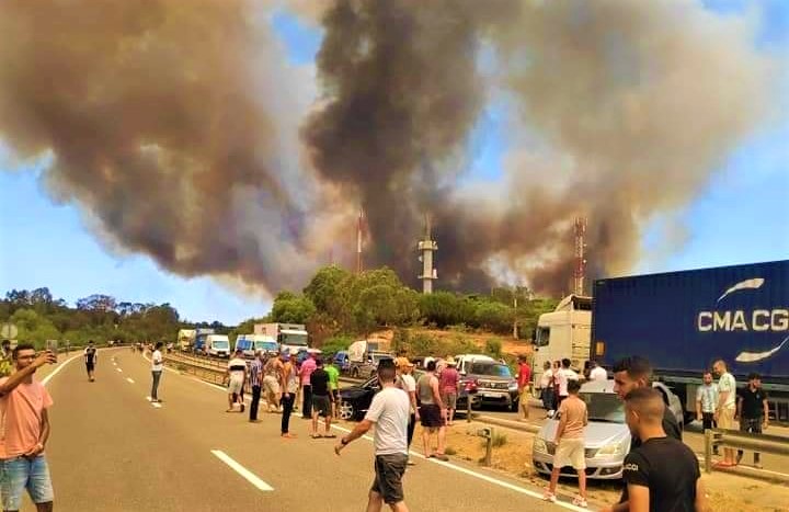 حرائق ضخمة تندلع في شمال المغرب.. وفرق الاطفاء تواجه تحدي الحرارة المفرطة والرياح