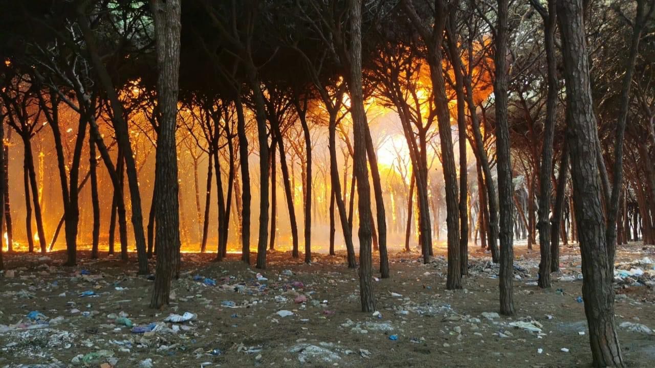 ارتفاع المساحة التي طالتها النيران بإقليم تازة إلى 400 هكتار دون تسجيل خسائر بشرية