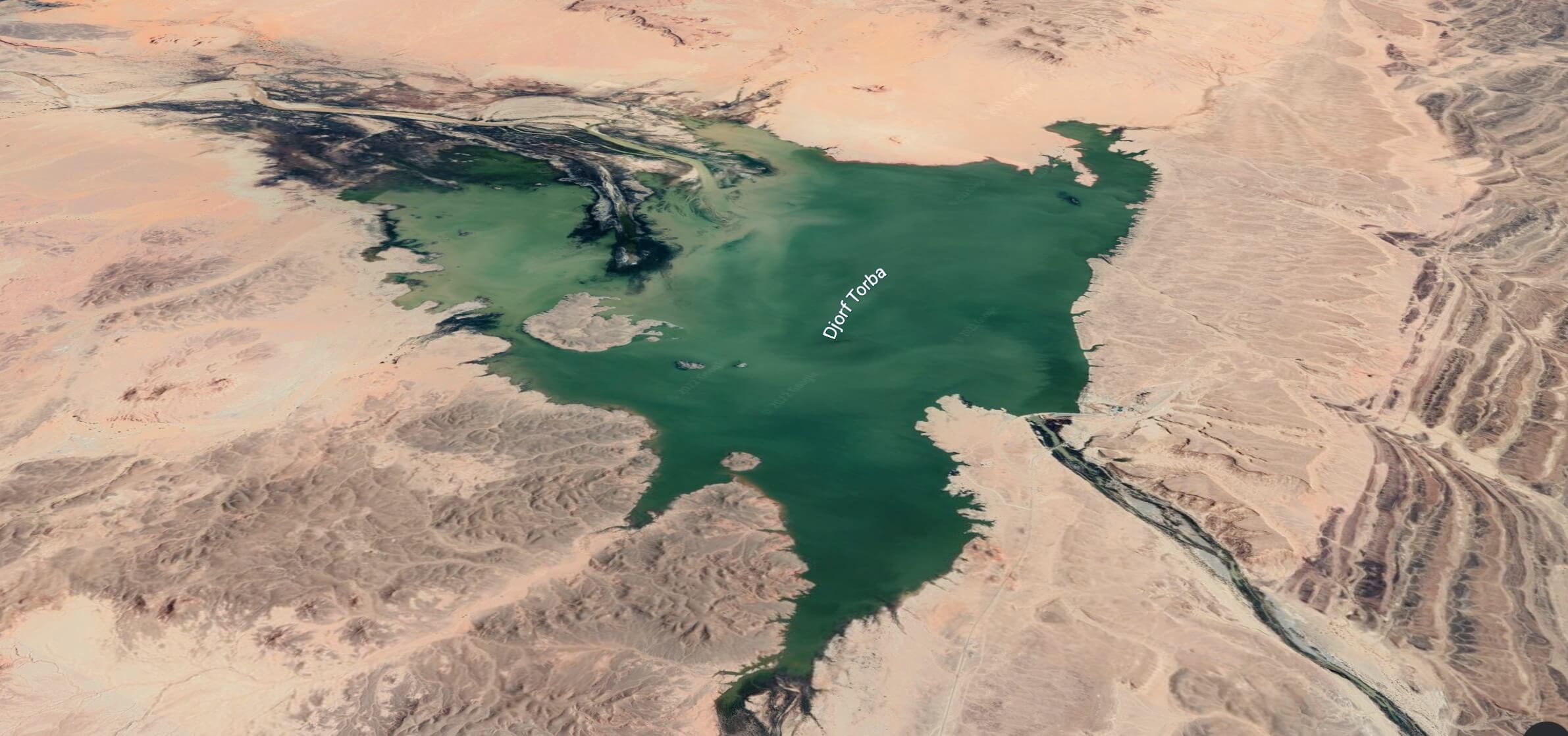  رد صامت يهدد بكارثة بيئية.. المغرب يقطع مياههُ عن سد جرف التربة الجزائري ويتسبب في نفوق أسماكه وتحوله إلى حوض آسن 