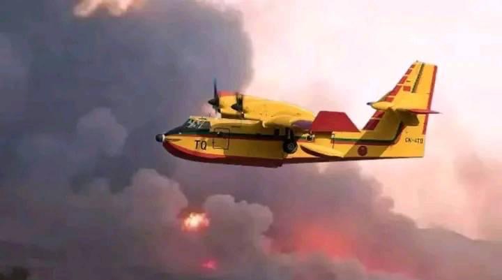 حريق غابة بن يسف يخلف كارثة اجتماعية وطائرات "كنادير" تدعم جهود إطفائه في مواجهة الرياح