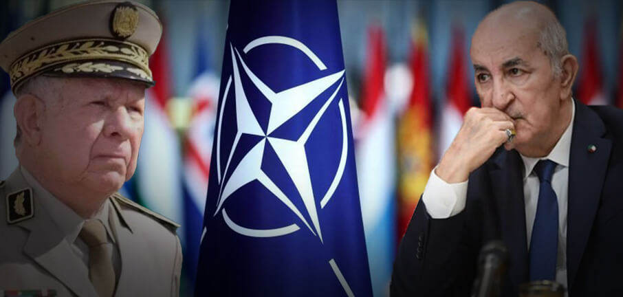 الجزائر وحلف "الناتو".. وجهاً لوجه