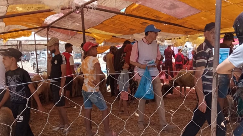 أمانديس تطلق حملة تحسيسية لحماية شبكات التطهير خلال العيد