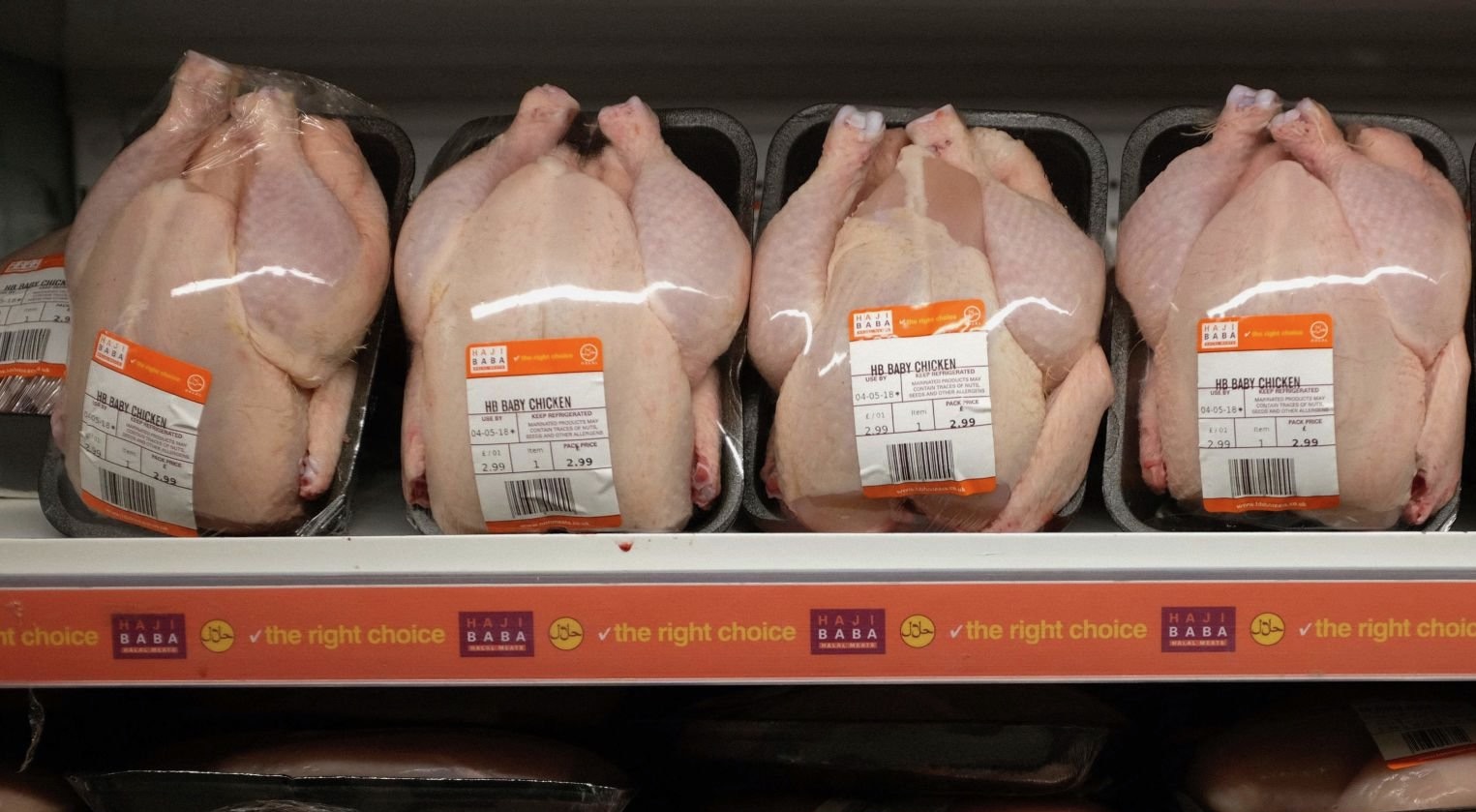 بعد سنوات من الانتظار.. الاتحاد الأوروبي يسمح باستيراد الدواجن المغربية ويفتح للمملكة سوقا من 450 مليون نسمة