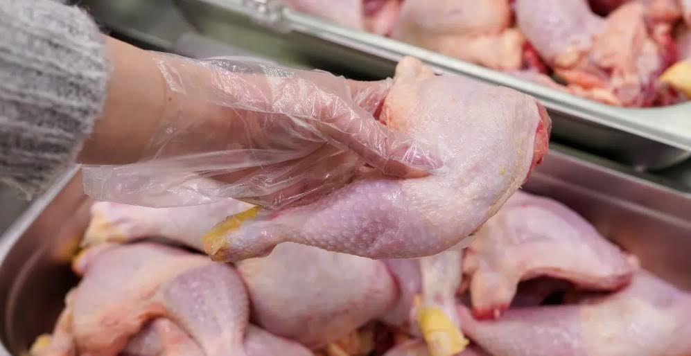 الاتحاد الأوروبي يوافق على استيراد الدجاج المغربي.. واتحاد قطاع الدواجن في إسبانيا يعتبر ذلك "خيانة"