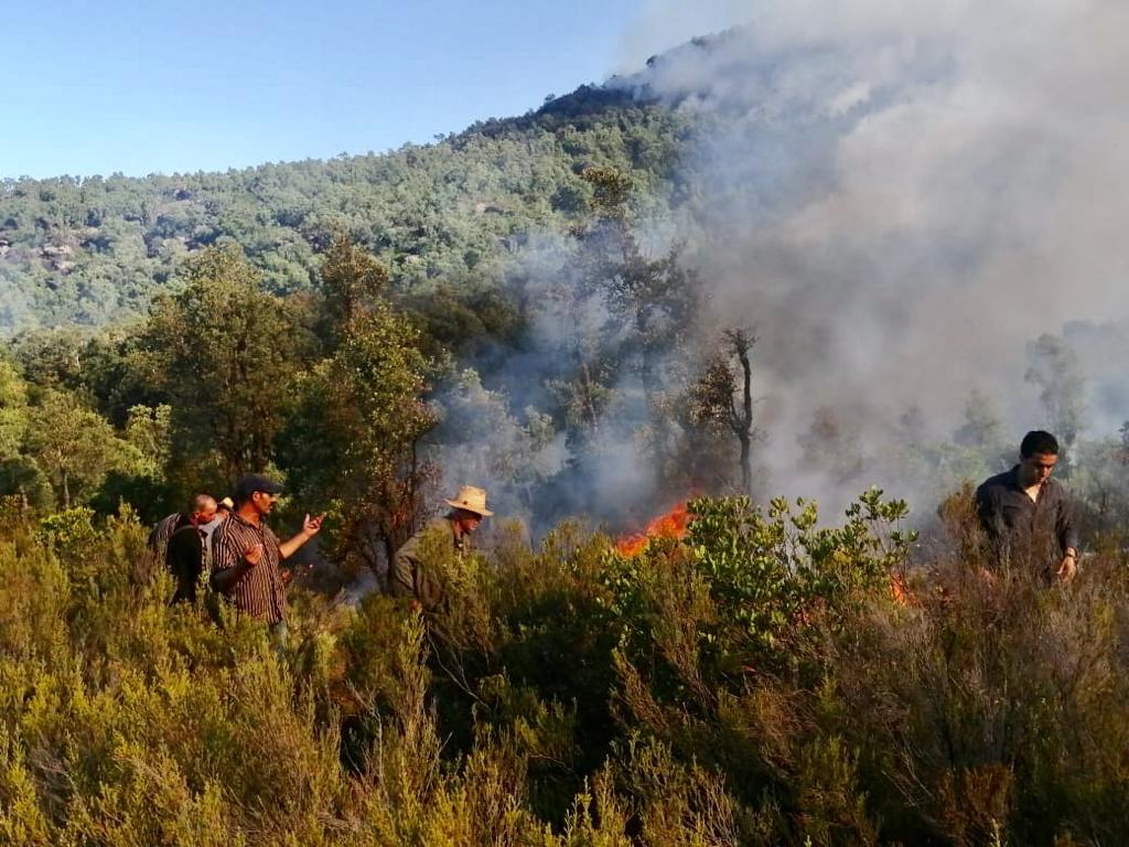  طال 900 هكتار.. دواوير محاصرة ومواطنون يُجلون عائلاتهم ونداءات استغاثة في الحريق الغابوي بإقليم العرائش 