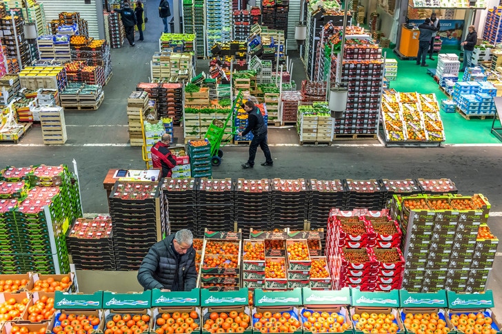  المغرب صدّر 205 ألف طن من الحوامض إلى روسيا و212 ألف طن إلى الاتحاد الأوروبي و128 ألف طن إلى أمريكا 