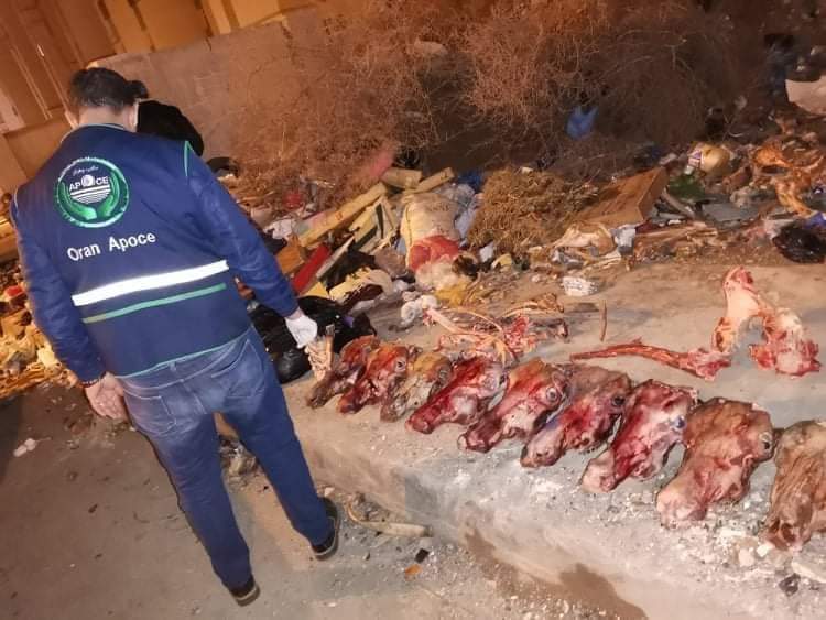 اعتقال عصابة باعت على مدار شهور آلاف أطنان لحوم الحَمير والبِغَال للجزائريين على أنها صالحة للأكل