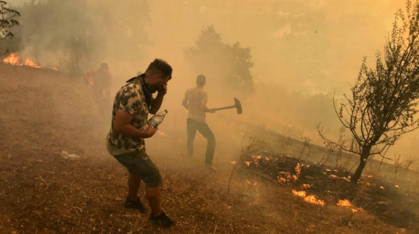 الجزائر.. ارتفاع حصيلة ضحايا حرائق الغابات إلى 43 قتيلا