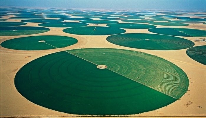 المغرب يطلق مشروعا فلاحيا في قلب الصحراء.. 5200 هكتارا من الأراضي المروية بمياه البحر المحلاة بواسطة الطاقة الريحية 