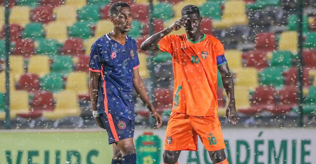  إيقاف مباراة لكرة القدم في موريتانيا بعد اجتياح الجراد لأرضية الملعب 