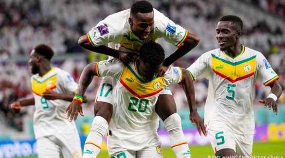  السنغال وهولندا يتأهلان إلى دور 16 من كأس العالم بفوز على قطر والإكوادور 