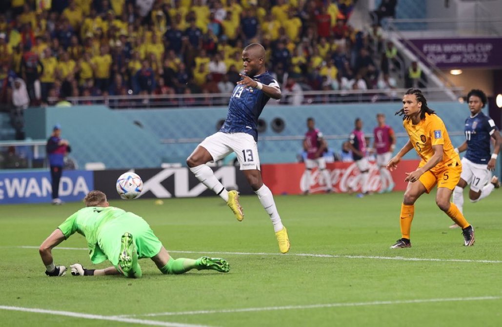 تعادل هولندا والإكوادور يقصي قطر رسميا من كأس العالم