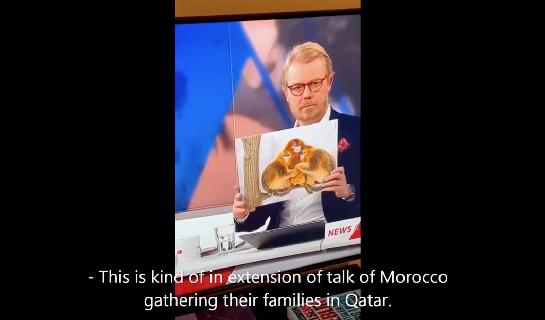  اعتذرت بعد اتهامها بالعنصرية.. قناة دانماركية تُشَبِّهُ علاقة لاعبي المنتخب المغربي بأمهاتهم بـ"عائلات القردة" 