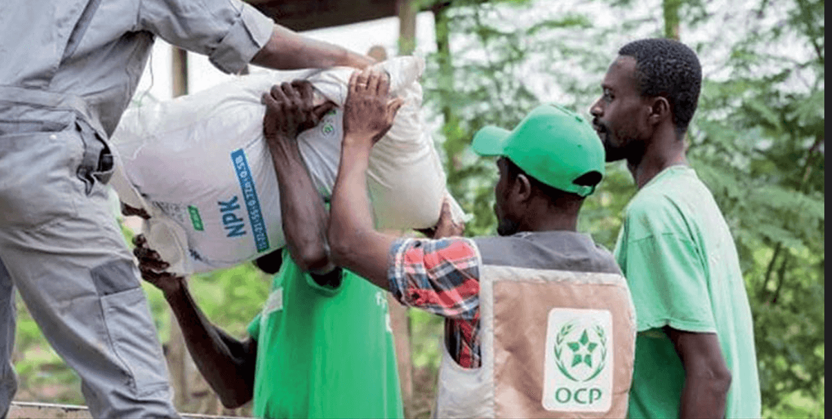  المغرب يُقدم هبة إلى موريتانيا عبارة عن 5000 طن من الأسمدة لتلبية حاجياتها في الموسم الزراعي المقبل 