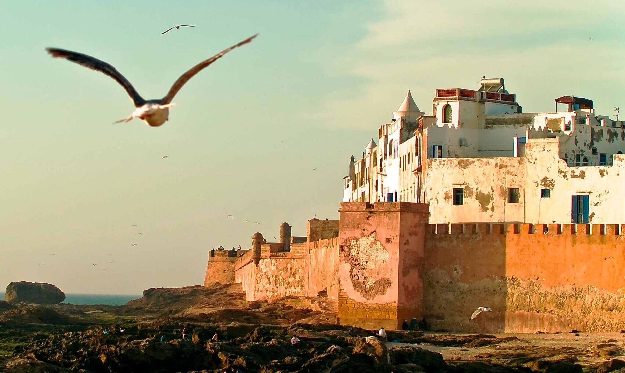 الصويرة.. مدينة التاريخ والموسيقى والمتاحف وأمواج البحر الذي يكسّر على إيقاع صوت النوارس