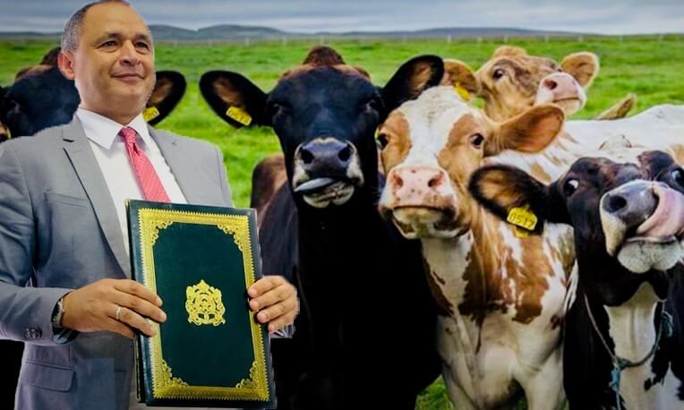  اتهامات لوزير في الحكومة بتسريب معلومات إعفاء الأبقار المستوردة من الرسوم لـ"مستوردين محددين" قبل إعلانها رسميا 