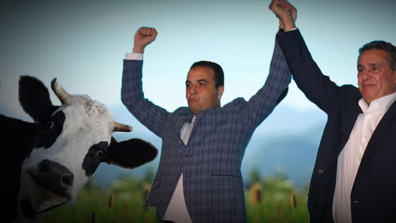 لحمٌ بـ 75 درهما.. هل "يسخر" الناطق الرسمي باسم الحكومة من المغاربة أم أنه اقتنى مُنتجا قادما من المجازر غير المراقبة؟