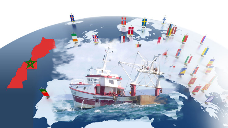  بولندا ولاتفيا وليتوانيا تتصدر دول الاتحاد الأوروبي المطالبة بتجديد اتفاق الصيد البحري مع المغرب وإسبانيا تحذر من مغبة إلغائه 