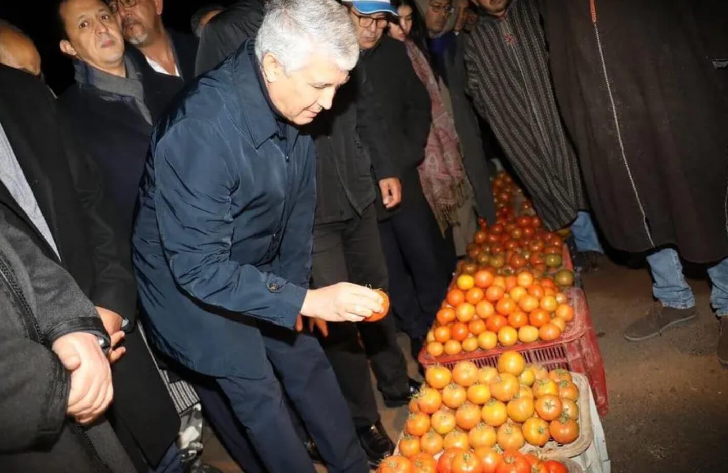 في ظل استمرار أزمة الأسعار.. فضيحة شراء الطماطم المغربية من السوق الداخلي لتصديرها رغم قرار المنع تلاحق وزير الفلاحة