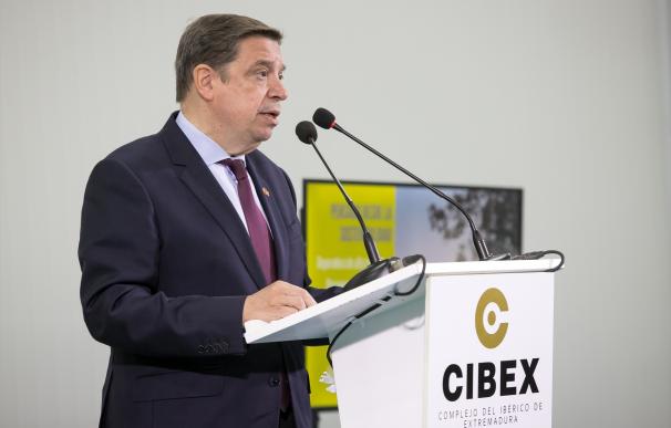 إسبانيا ودول أخرى تتحرك لتجديد اتفاقية الصيد البحري مع المغرب ودفع المحكمة الأوروبية لإصدار قرار لصالح الاتفاقية