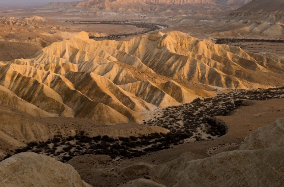  لهيب الصحراء - ميلاد الأخ يونس [ 8 ] 