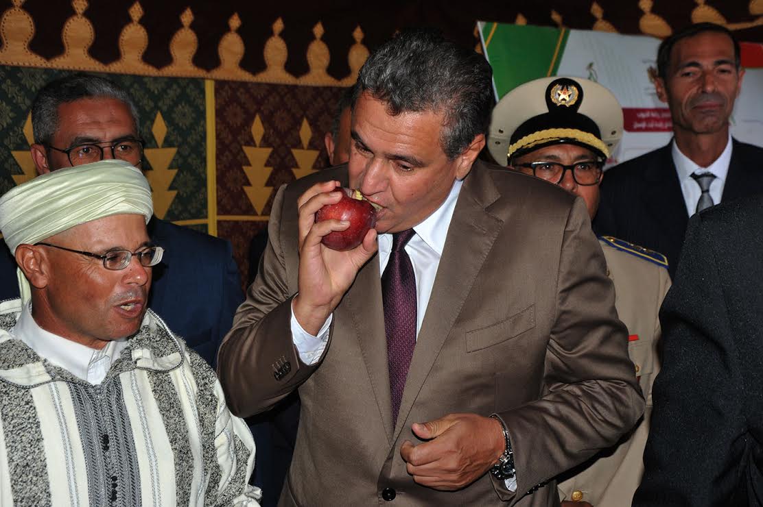 رغم استمرار الخصاص وارتفاع الأسعار.. الحكومة تعطي الضوء الأخضر رسميا لتصدير المنتجات الفلاحية