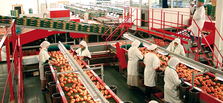 في زمن الغلاء.. المغرب يقتحم المراتب الثلاثة لكبار مصدّري الطماطم عالميا.. وبريطانيا ممتنة لقدرته التنافسية وسد خصاصها المحلي