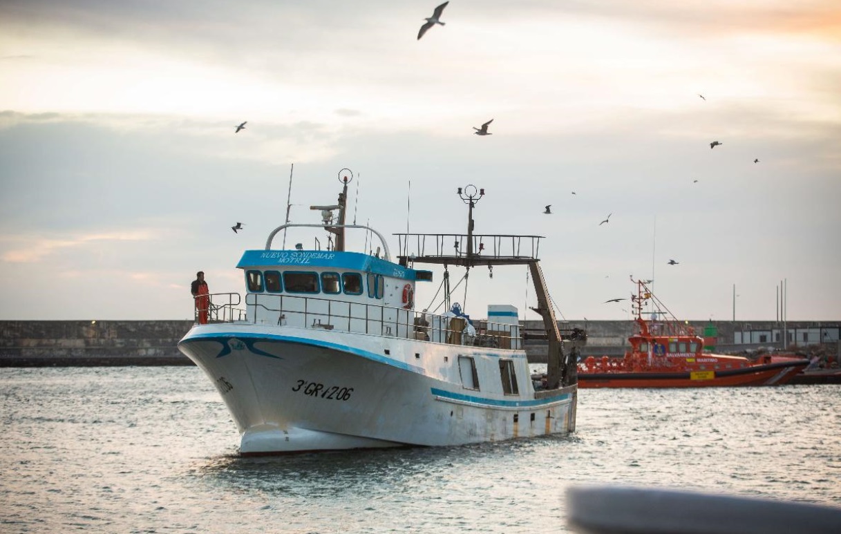  بينما تسعى مدريد لتجديد اتفاق الصيد البحري.. مهنيون إسبان يطالبون بطرد أسطول مغربي من سواحل الأندلس بسبب الشباك العائمة 
