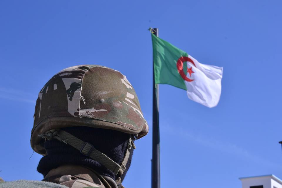  استمرار الحرب في أوكرانيا يدفع الجزائر للبحث عن بدلاء جُدد لروسيا من أجل التزود بالأسلحة 