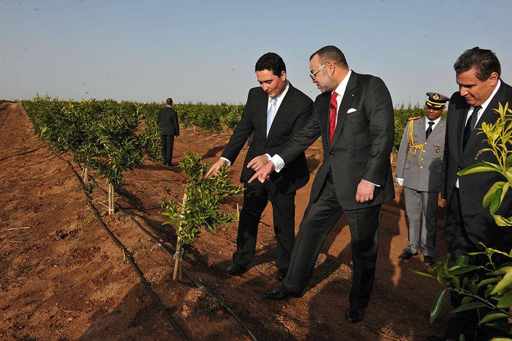  المغرب يخصص 11 مليار دولار لتعزيز أمنه الغذائي 