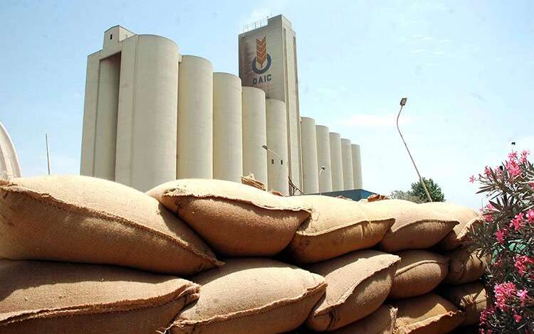 المغرب يُخصص منحة لاستيراد 25 مليون قنطار من القمح اللين بين شهري يوليوز وشتنبر