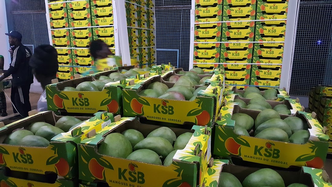  في خضم الوضعن الأمني غير المستقر.. مصادر حكومية سينغالية تؤكد لـ "الصحيفة" تحوّل المغرب إلى الرئة التي تنفس بها اقتصادها 