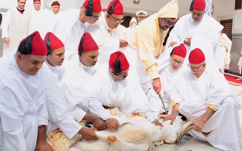 الملك محمد السادس يؤدي صلاة عيد الأضحى بمسجد الحسن الثاني بتطوان ويتقبل التهاني بهذه المناسبة