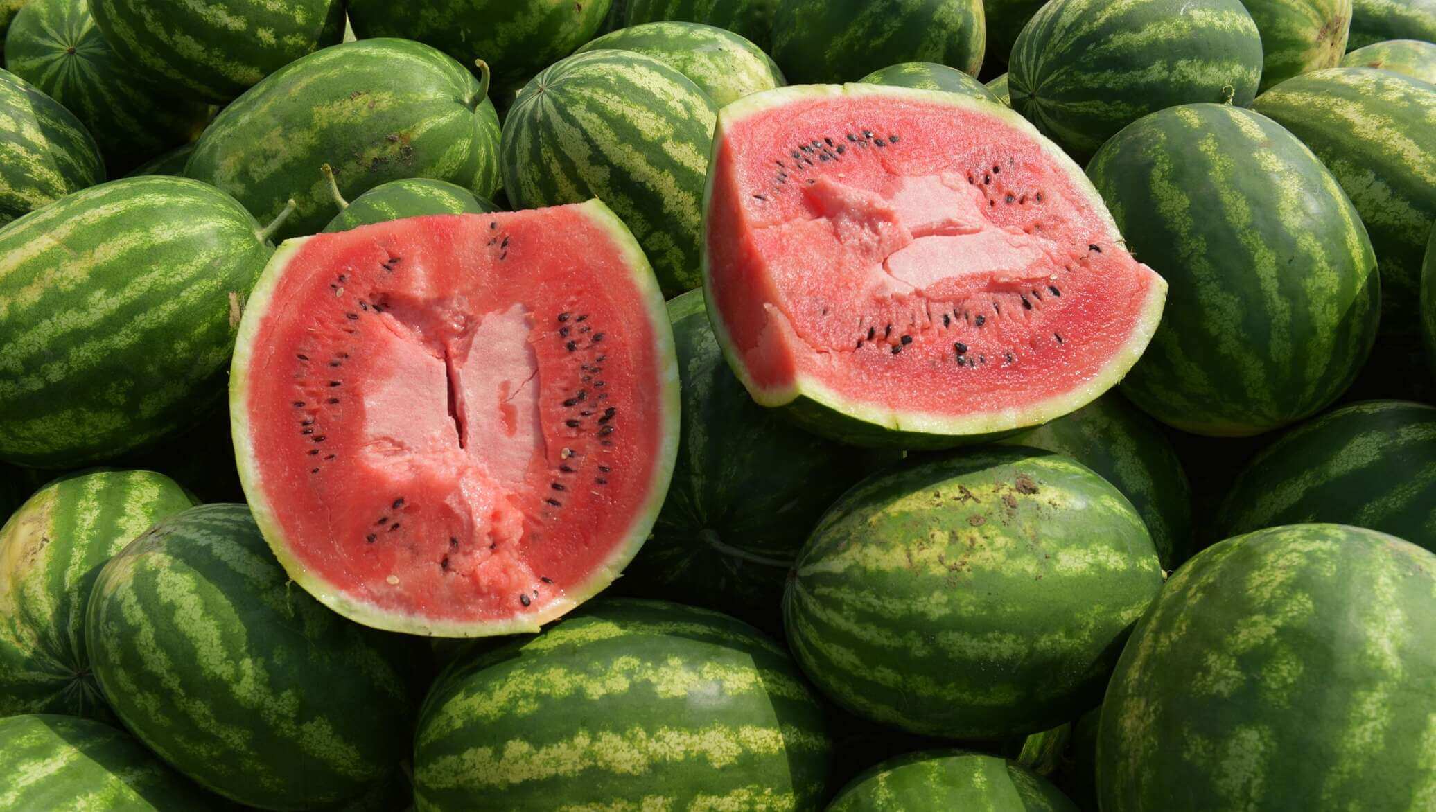 بعد تحذير أوروبي من استهلاك البطيح الأحمر المغربي.. "أونسا" للصحيفة: شحنة واحدة كانت تحتوي على نسبة عالية من مادة "الميثوميل" وقد تم تعليق تراخيص المُصدّر