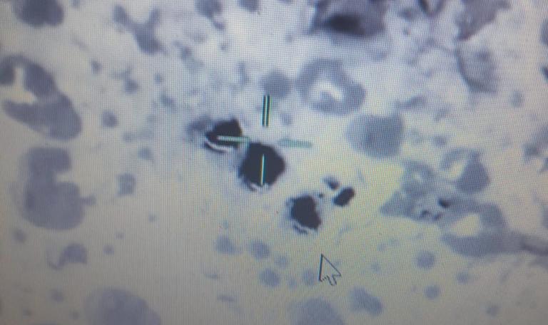 الجيش المغربي ينقذ 5 رعاة كانوا مفقودين بتحديد أماكنهم باستخدام طائرات مسيرة قبل إيصال المؤونة والمساعدة الطبية لهم