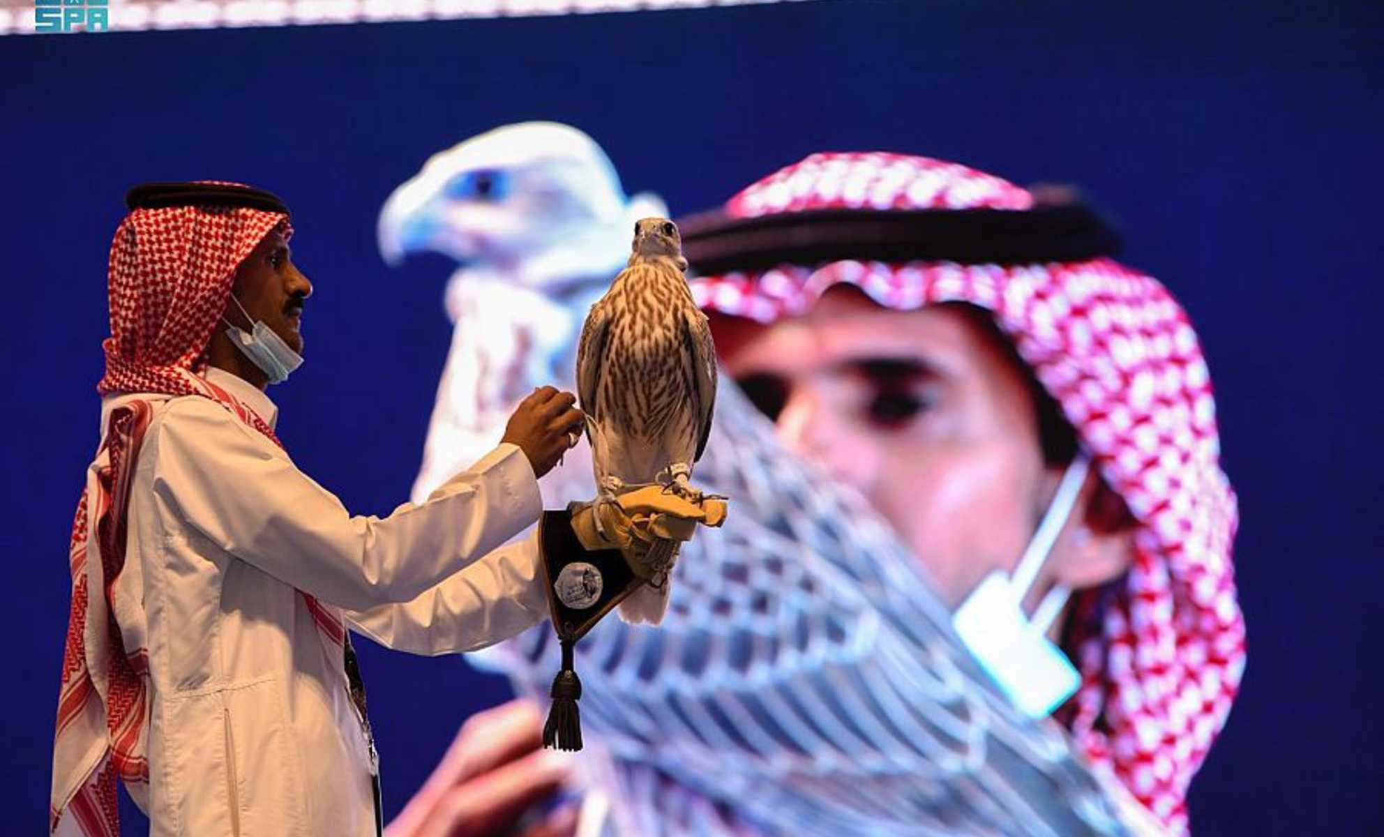  يَحدث هذا في قطر.. بيع فرخ صقر وغطاء لرأسه بمبلغ 73.6 ألف دولار 