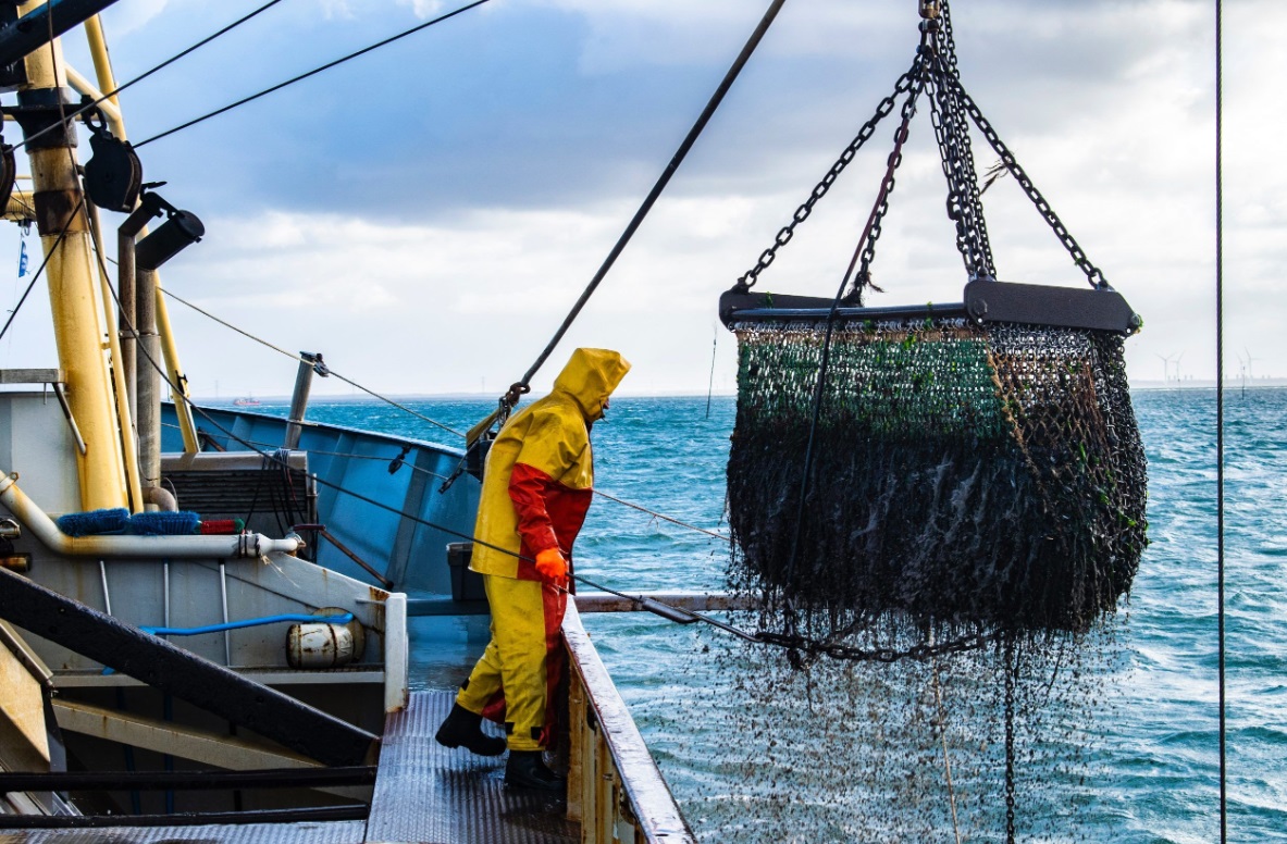  تحديد مارس المقبل موعدا للكشف عن خلاصات مراجعة المحكمة الأوروبية لقرار إلغاء اتفاقية الصيد البحري مع المغرب 