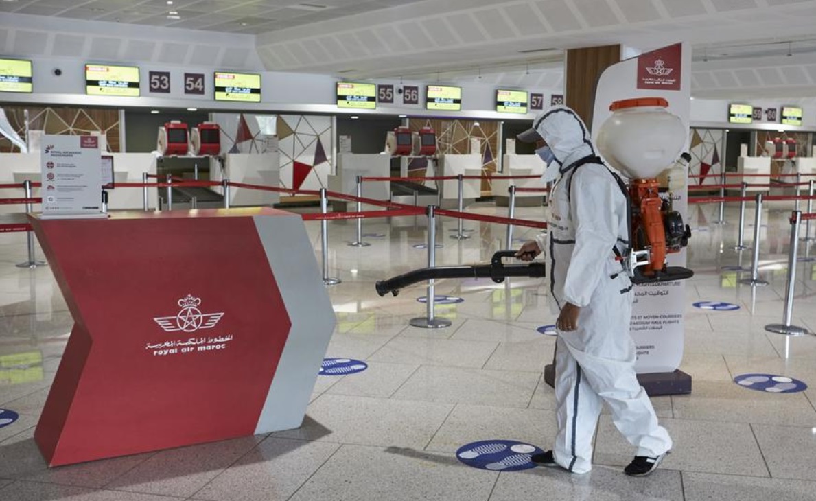 وزارة الصحة المغربية تعلن تفعيل نظام اليقظة لمواجهة احتمال تسرب حشرة "بق الفراشة" من فرنسا إلى التراب الوطني