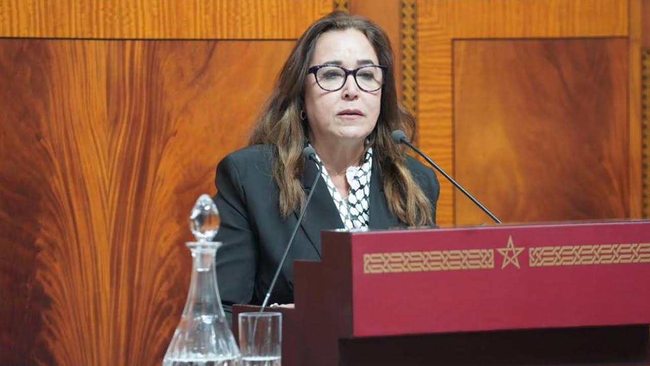  التامني لـ"الصحيفة": حصول أخنوش على صفقة تحلية المياه لمدة 30 سنة يعني أن هذه المادة ستصبح "رهينة" لديه حتى بعد انتهاء ولايته 