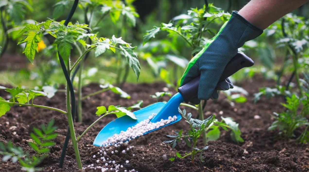 تحت ضغط المزارعين.. الإدارة الأمريكية تُخفض الرسوم الجمركية على الأسمدة الفوسفاتية المغربية وترفعها على نظيرتها الروسية