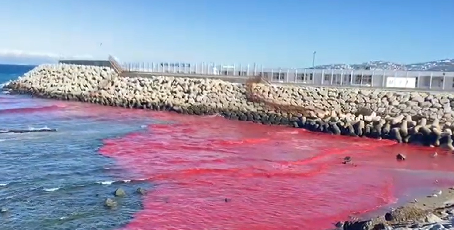 مياه بلون الدم في شاطئ مرقالة تصدم سكان طنجة.. والجماعة تكشف مصدرها