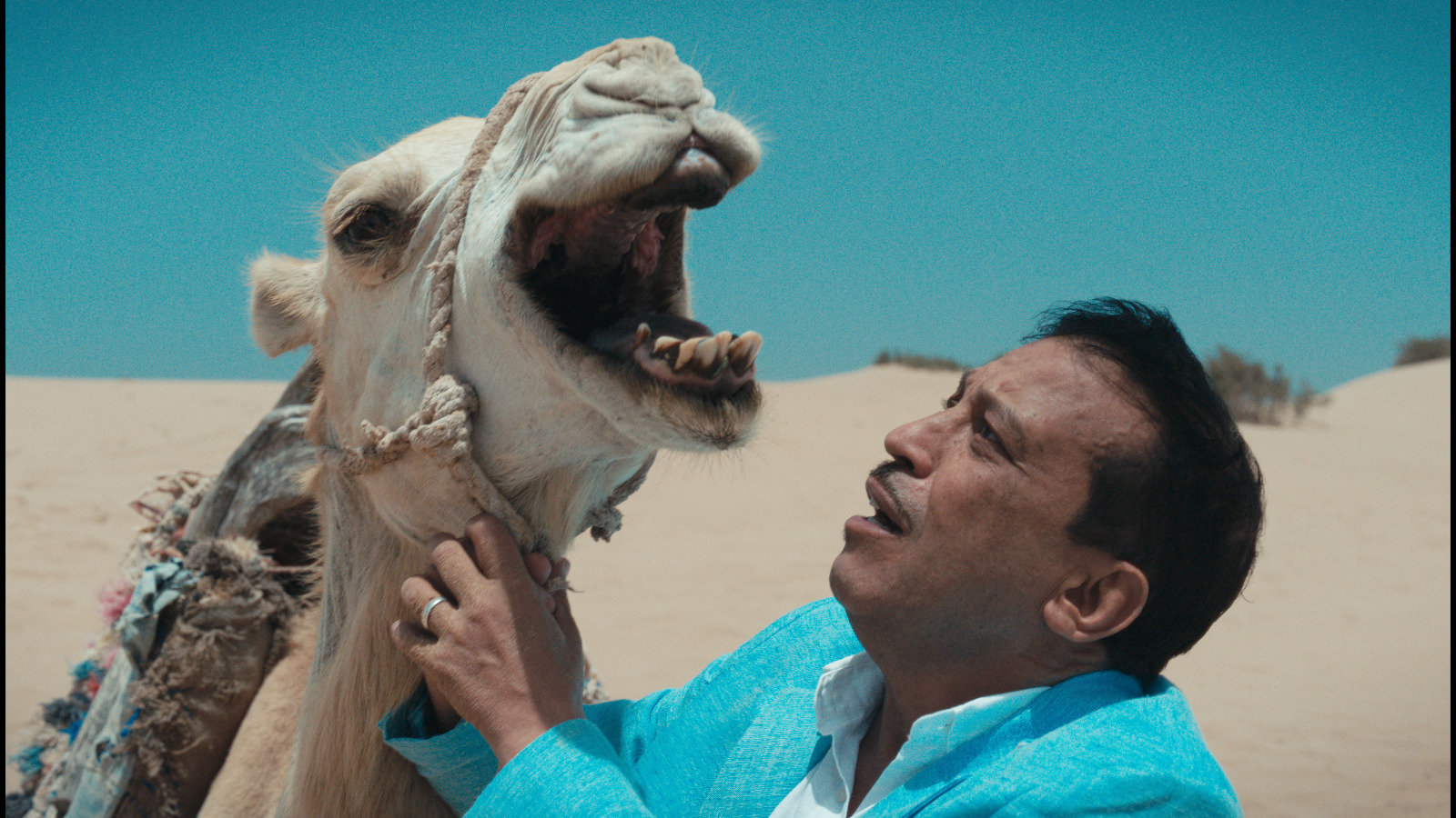 فيلم "أنا ماشي أنا" يتصدر شبابيك التذاكر بمختلف دور السينما المغربية